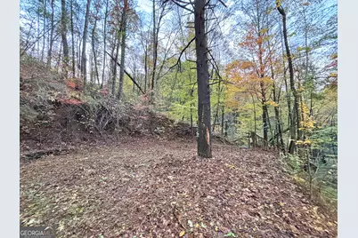 137 Faircloth Drive, Blue Ridge, GA 30513 - Photo 27