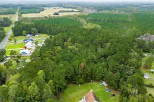 338 Gracen Rd, Guyton, GA 31312 - Photo 39