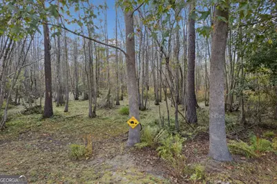 158 Grayson Avenue, Savannah, GA 31419 - Photo 53