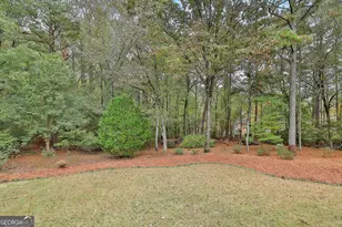 21 Lake Park Ct, Sharpsburg, GA 30277 - Photo 69