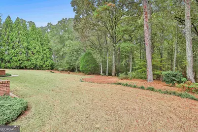 21 Lake Park Court, Sharpsburg, GA 30277 - Photo 89