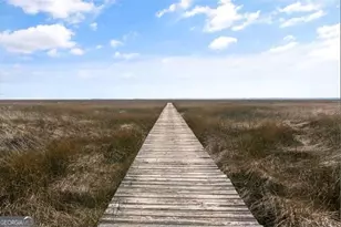 437 Mimosa Dr, Saint Simons, GA 31522 - Photo 61