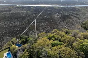 437 Mimosa Dr, Saint Simons, GA 31522 - Photo 11