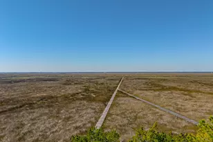 437 Mimosa Dr, Saint Simons, GA 31522 - Photo 45