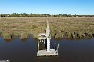 437 Mimosa Dr, Saint Simons, GA 31522 - Photo 3