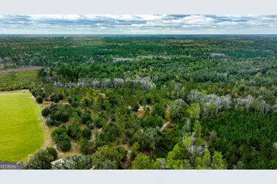 0 Hendrix Bridge Road, Claxton, GA 30417 - Photo 11