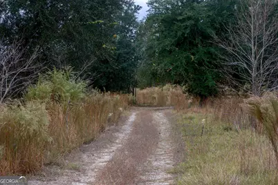 0 Hendrix Bridge Road, Claxton, GA 30417 - Photo 17