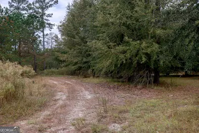 0 Hendrix Bridge Road, Claxton, GA 30417 - Photo 17