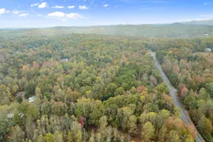 488 Hwy 75 Alt, Cleveland, GA 30528 - Photo 57