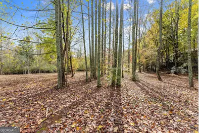 488 Hwy 75 Alt, Cleveland, GA 30528 - Photo 47