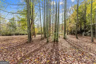 488 Hwy 75 Alt, Cleveland, GA 30528 - Photo 47