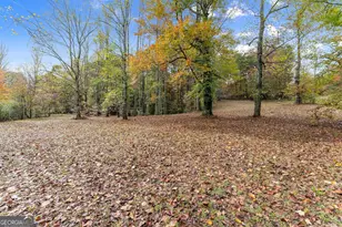 488 Hwy 75 Alt, Cleveland, GA 30528 - Photo 45