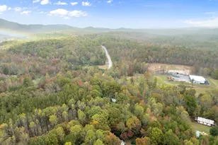 488 Hwy 75 Alt, Cleveland, GA 30528 - Photo 53