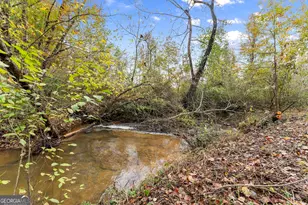 488 Hwy 75 Alt, Cleveland, GA 30528 - Photo 39