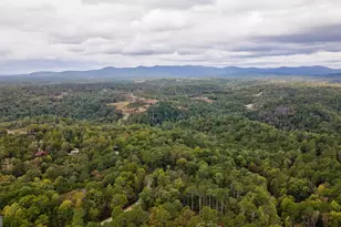 193 Haven Ct, Ellijay, GA 30540 - Photo 75