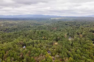 193 Haven Ct, Ellijay, GA 30540 - Photo 73