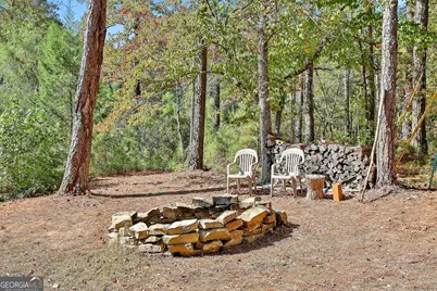 465 Little Road, Sharpsburg, GA 30277 - Photo 63