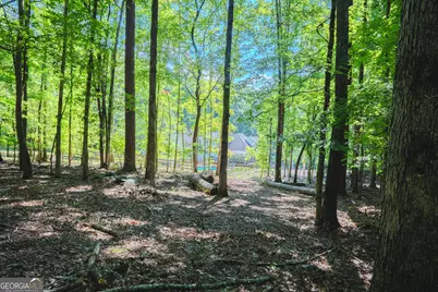 360 Darren Drive, Fayetteville, GA 30215 - Photo 49