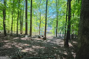 360 Darren Dr, Fayetteville, GA 30215 - Photo 49