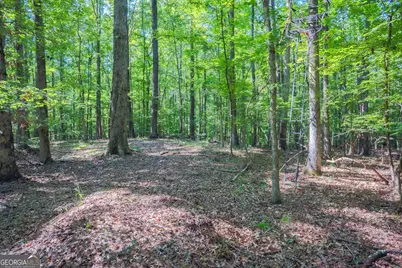 360 Darren Drive, Fayetteville, GA 30215 - Photo 47