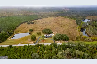 1176 E Highway 57, Twin City, GA 30471 - Photo 3