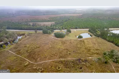 1176 E Highway 57, Twin City, GA 30471 - Photo 7