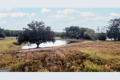 1176 E Highway 57, Twin City, GA 30471 - Photo 15