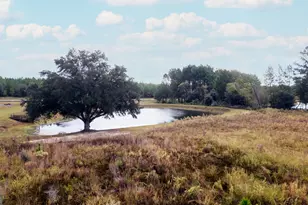 1176 E Hwy 57, Twin City, GA 30471 - Photo 15