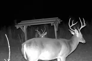 1176 E Hwy 57, Twin City, GA 30471 - Photo 67