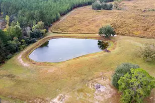 1176 E Hwy 57, Twin City, GA 30471 - Photo 13