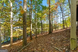 142 Indian Ridge Pl, Waleska, GA 30183 - Photo 33