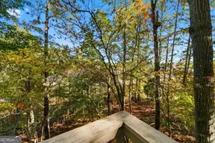 142 Indian Ridge Pl, Waleska, GA 30183 - Photo 29