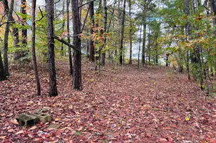 3077 Alec Mountain Rd, Clarkesville, GA 30523 - Photo 31