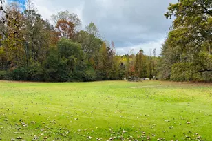 3077 Alec Mountain Rd, Clarkesville, GA 30523 - Photo 3