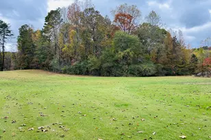 3077 Alec Mountain Rd, Clarkesville, GA 30523 - Photo 29