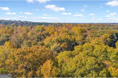 0 Rice Creek Road, Canon, GA 30520 - Photo 25