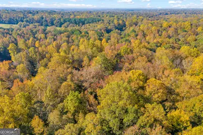 0 Rice Creek Road, Canon, GA 30520 - Photo 27