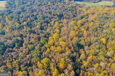 0 Rice Creek Road, Canon, GA 30520 - Photo 17