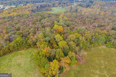 0 Rice Creek Road, Canon, GA 30520 - Photo 13