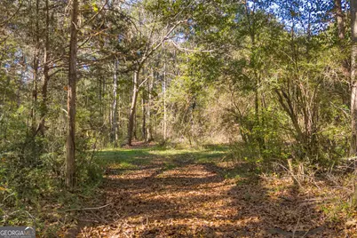 0 Rice Creek Road, Canon, GA 30520 - Photo 3