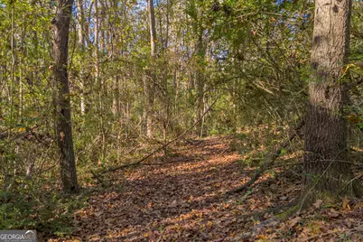 0 Rice Creek Road, Canon, GA 30520 - Photo 11