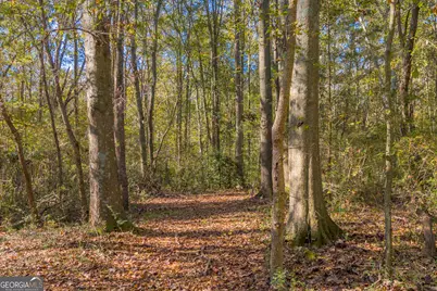0 Rice Creek Road, Canon, GA 30520 - Photo 7