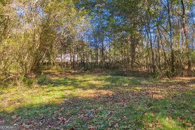 0 Rice Creek Road, Canon, GA 30520 - Photo 5