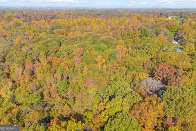 0 Rice Creek Road, Canon, GA 30520 - Photo 29