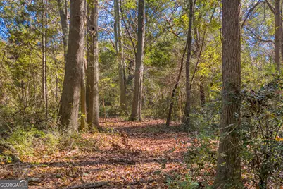 0 Rice Creek Road, Canon, GA 30520 - Photo 9