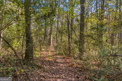 0 Rice Creek Road, Canon, GA 30520 - Photo 3