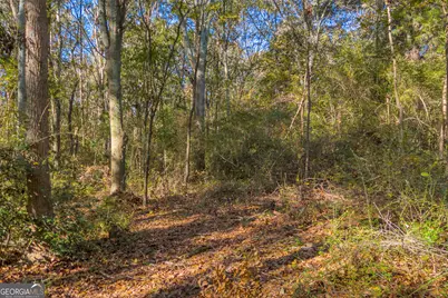 0 Rice Creek Road, Canon, GA 30520 - Photo 7