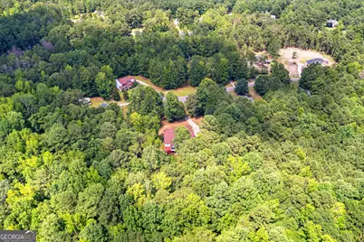 50 Kay Court, Sharpsburg, GA 30277 - Photo 51