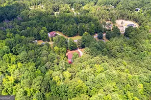 50 Kay Ct, Sharpsburg, GA 30277 - Photo 51