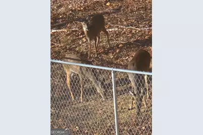 476 W Wind Drive, Villa Rica, GA 30180 - Photo 35